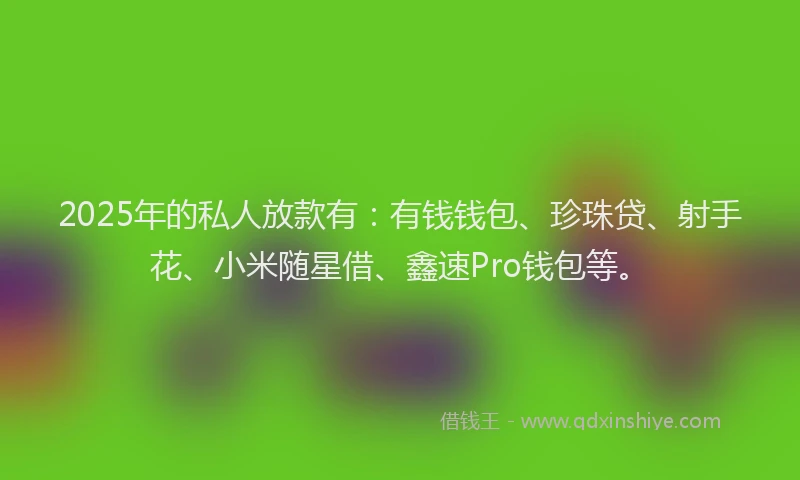 2025年的私人放款有：有钱钱包、珍珠贷、射手花、小米随星借、鑫速Pro钱包等。