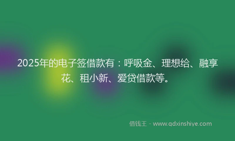 2025年的电子签借款有：呼吸金、理想给、融享花、租小新、爱贷借款等。