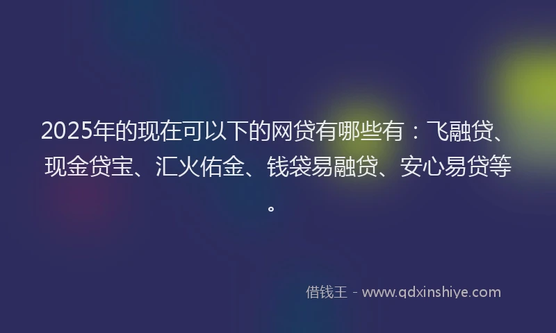 2025年的现在可以下的网贷有哪些有:飞融贷、现金贷宝、汇火佑金、钱袋易融贷、安心易贷等。