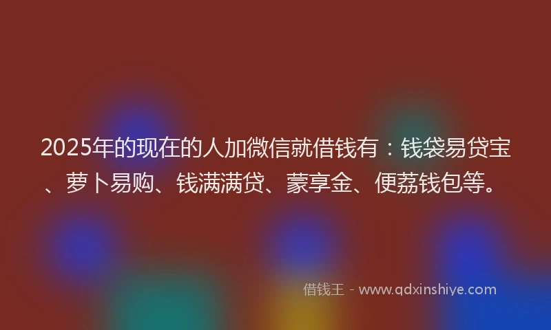 2025年的现在的人加微信就借钱有：钱袋易贷宝、萝卜易购、钱满满贷、蒙享金、便荔钱包等。