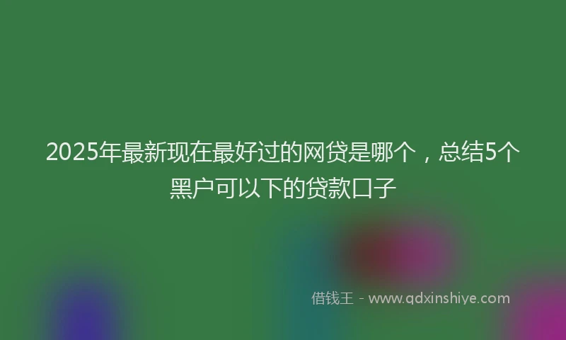 2025年最新现在最好过的网贷是哪个，总结5个黑户可以下的贷款口子