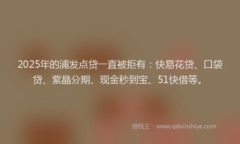2025年的浦发点贷一直被拒有：快易花贷、口袋贷、紫晶分期、现金秒到宝、51快借等。