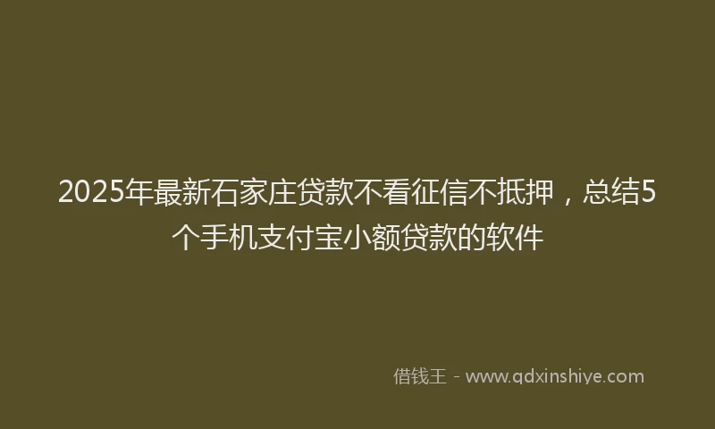 2025年最新石家庄贷款不看征信不抵押，总结5个手机支付宝小额贷款的软件