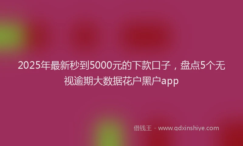 2025年最新秒到5000元的下款口子，盘点5个无视逾期大数据花户黑户app