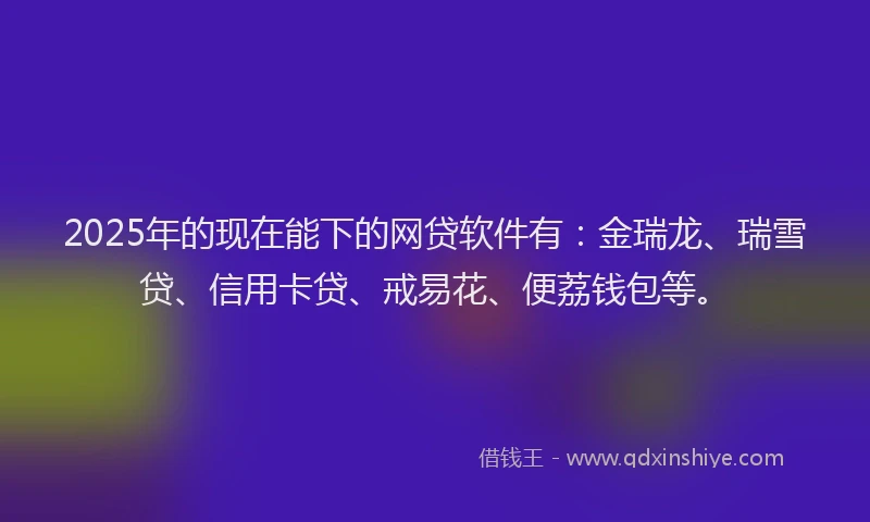 2025年的现在能下的网贷软件有：金瑞龙、瑞雪贷、信用卡贷、戒易花、便荔钱包等。