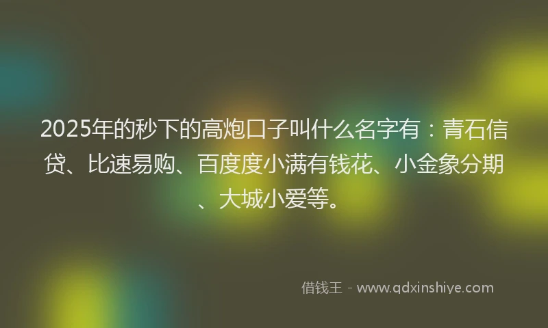 2025年的秒下的高炮口子叫什么名字有：青石信贷、比速易购、百度度小满有钱花、小金象分期、大城小爱等。
