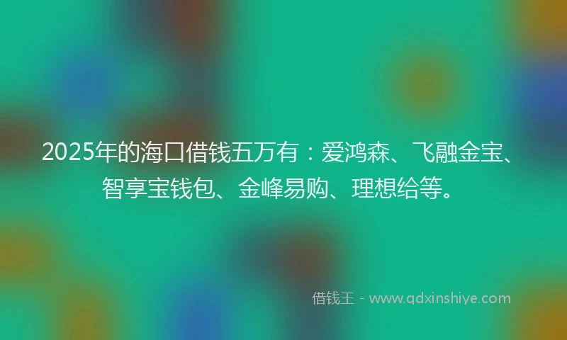 2025年的海口借钱五万有：爱鸿森、飞融金宝、智享宝钱包、金峰易购、理想给等。
