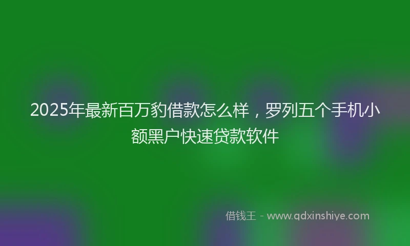 2025年最新百万豹借款怎么样，罗列五个手机小额黑户快速贷款软件