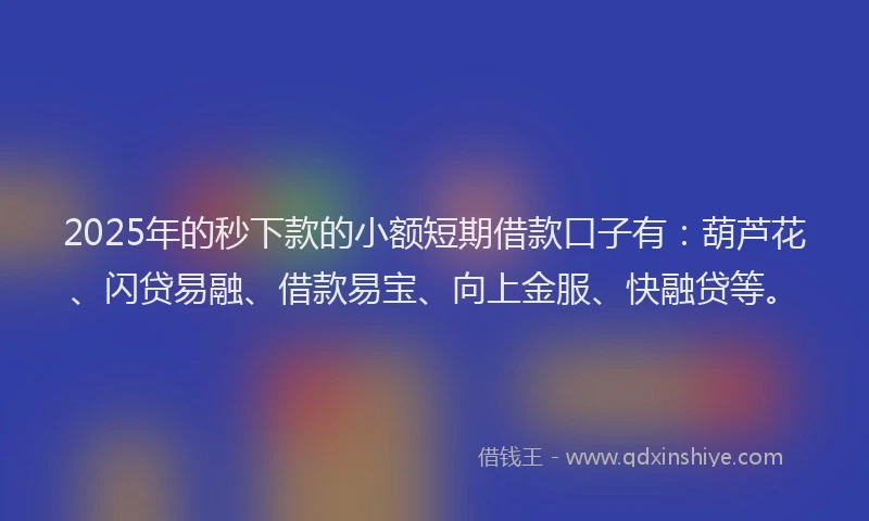 2025年的秒下款的小额短期借款口子有：葫芦花、闪贷易融、借款易宝、向上金服、快融贷等。