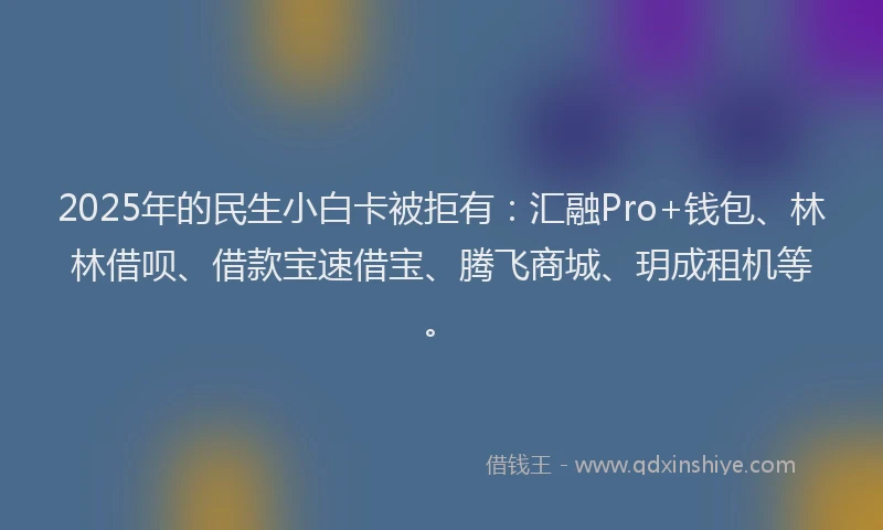 2025年的民生小白卡被拒有：汇融Pro+钱包、林林借呗、借款宝速借宝、腾飞商城、玥成租机等。