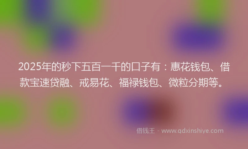 2025年的秒下五百一千的口子有：惠花钱包、借款宝速贷融、戒易花、福禄钱包、微粒分期等。