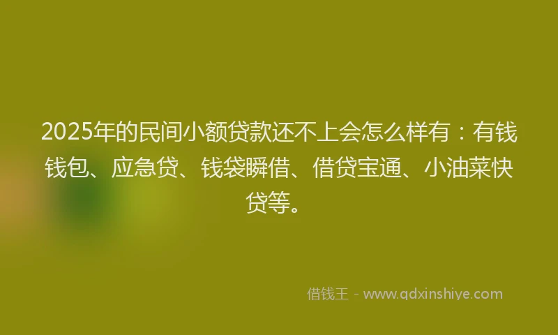2025年的民间小额贷款还不上会怎么样有：有钱钱包、应急贷、钱袋瞬借、借贷宝通、小油菜快贷等。
