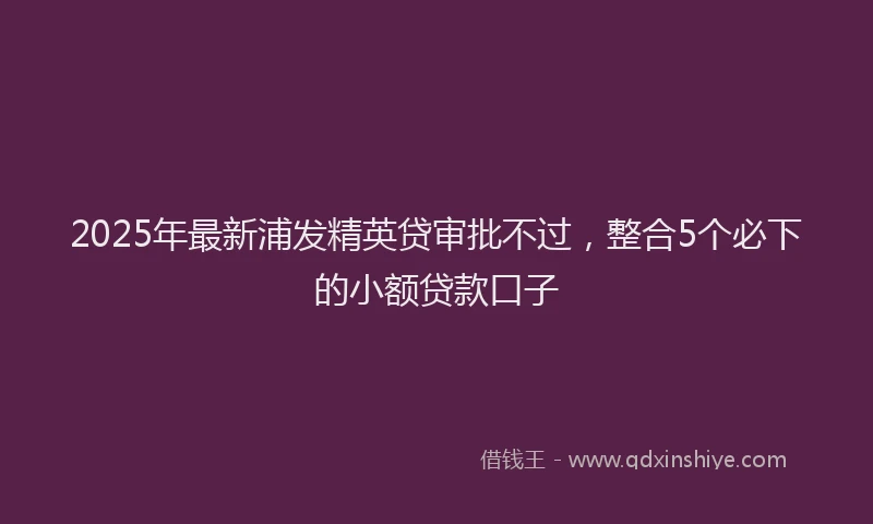 2025年最新浦发精英贷审批不过，整合5个必下的小额贷款口子