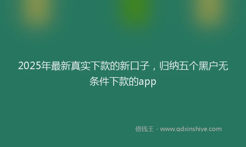 2025年最新真实下款的新口子，归纳五个黑户无条件下款的app