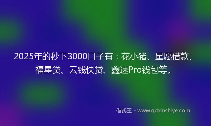 2025年的秒下3000口子有：花小猪、星愿借款、福星贷、云钱快贷、鑫速Pro钱包等。