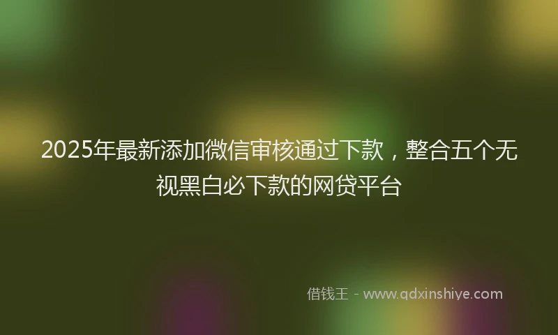 2025年最新添加微信审核通过下款,整合五个无视黑白必下款的网贷平台