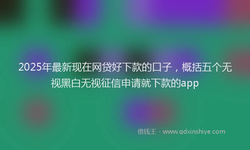 2025年最新现在网贷好下款的口子，概括五个无视黑白无视征信申请就下款的app