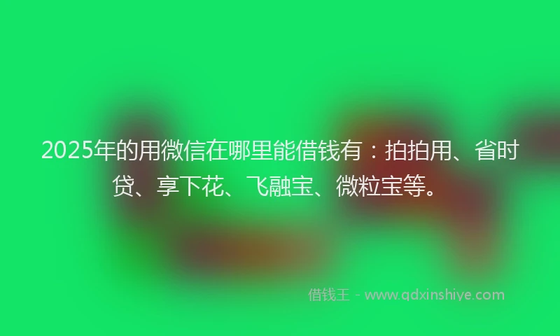 2025年的用微信在哪里能借钱有：拍拍用、省时贷、享下花、飞融宝、微粒宝等。