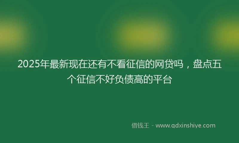 2025年最新现在还有不看征信的网贷吗，盘点五个征信不好负债高的平台