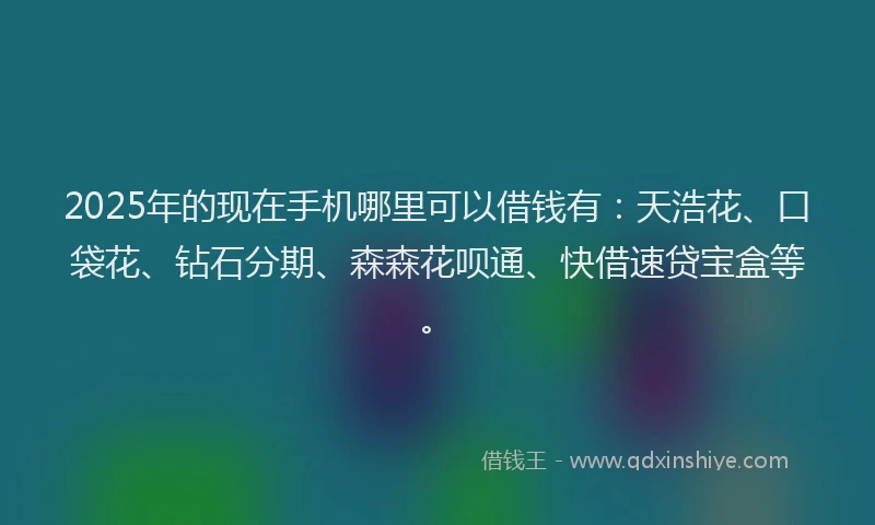2025年的现在手机哪里可以借钱有：天浩花、口袋花、钻石分期、森森花呗通、快借速贷宝盒等。