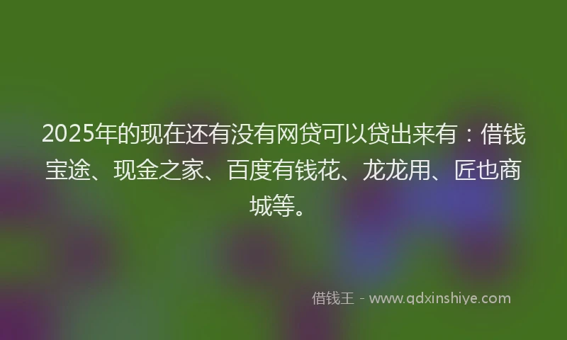 2025年的现在还有没有网贷可以贷出来有：借钱宝途、现金之家、百度有钱花、龙龙用、匠也商城等。