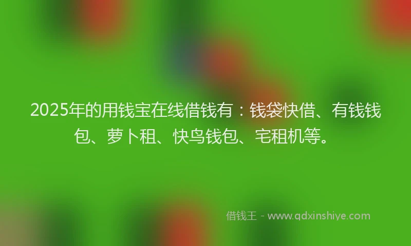 2025年的用钱宝在线借钱有：钱袋快借、有钱钱包、萝卜租、快鸟钱包、宅租机等。
