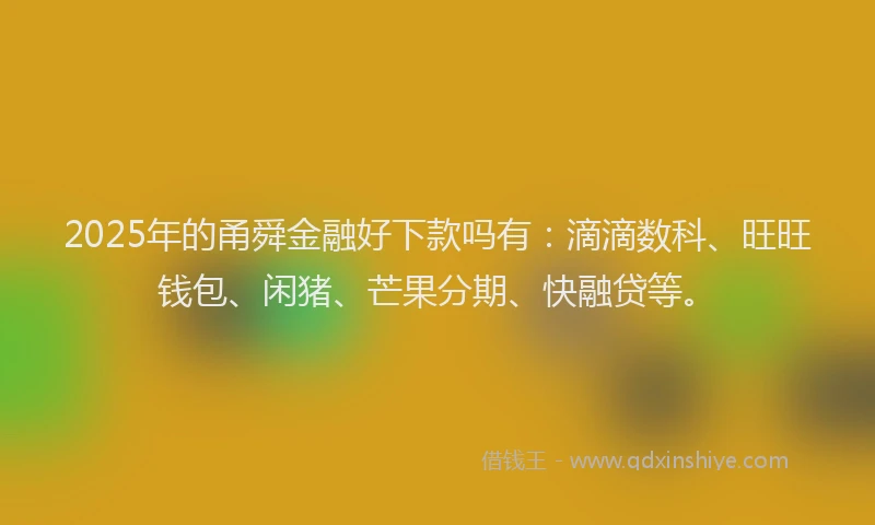 2025年的甬舜金融好下款吗有：滴滴数科、旺旺钱包、闲猪、芒果分期、快融贷等。