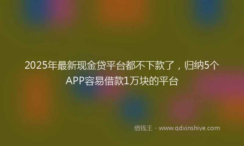 2025年最新现金贷平台都不下款了，归纳5个APP容易借款1万块的平台