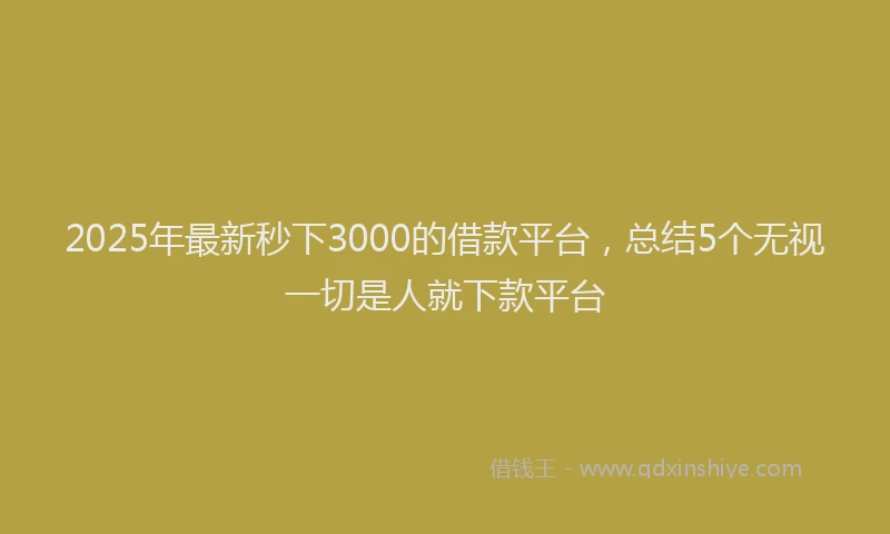 2025年最新秒下3000的借款平台，总结5个无视一切是人就下款平台