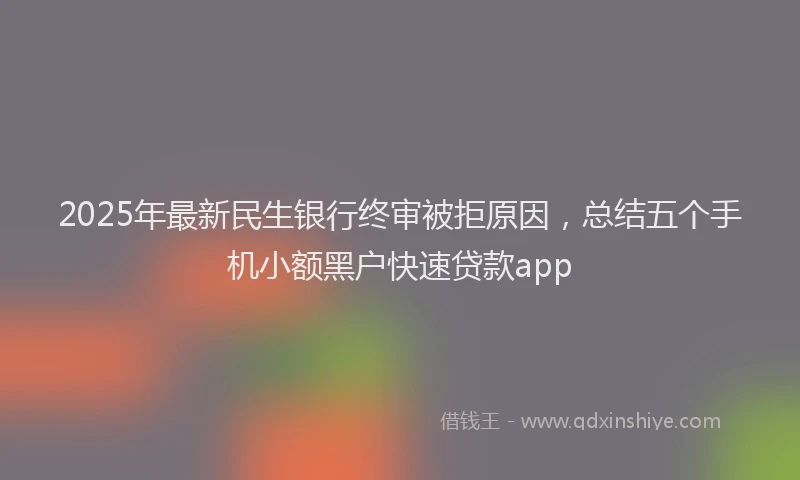 2025年最新民生银行终审被拒原因，总结五个手机小额黑户快速贷款app
