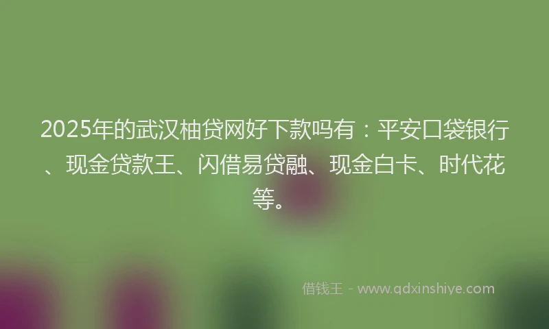 2025年的武汉柚贷网好下款吗有：平安口袋银行、现金贷款王、闪借易贷融、现金白卡、时代花等。