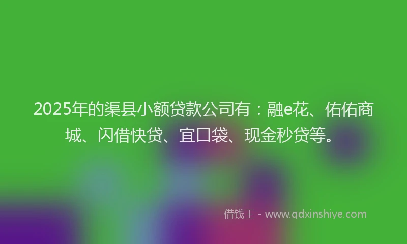 2025年的渠县小额贷款公司有：融e花、佑佑商城、闪借快贷、宜口袋、现金秒贷等。