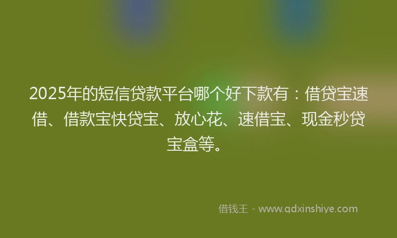 2025年的短信贷款平台哪个好下款有：借贷宝速借、借款宝快贷宝、放心花、速借宝、现金秒贷宝盒等。