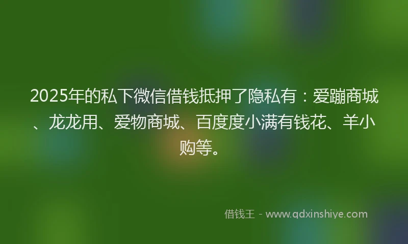 2025年的私下微信借钱抵押了隐私有：爱蹦商城、龙龙用、爱物商城、百度度小满有钱花、羊小购等。
