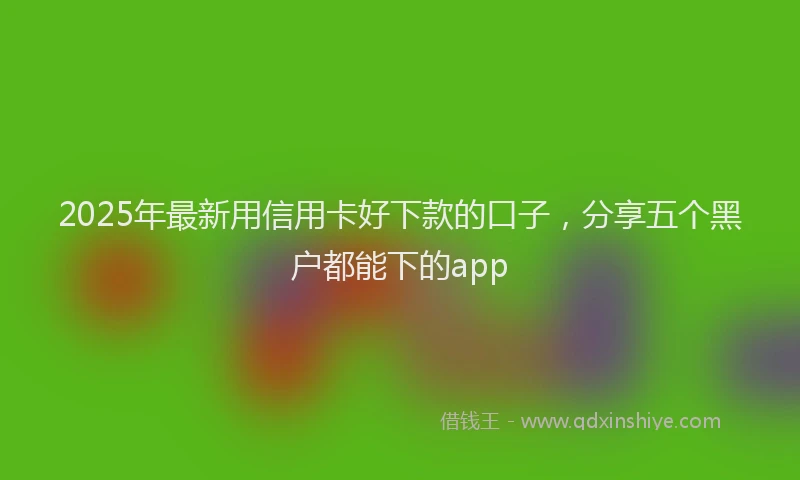 2025年最新用信用卡好下款的口子,分享五个黑户都能下的app