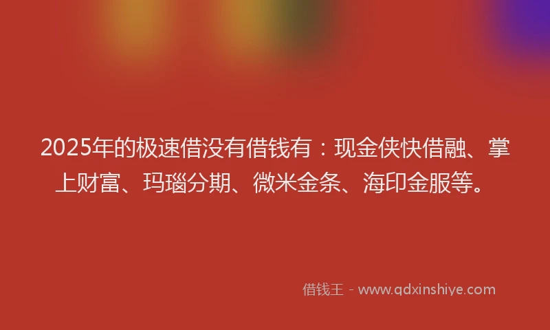 2025年的极速借没有借钱有：现金侠快借融、掌上财富、玛瑙分期、微米金条、海印金服等。
