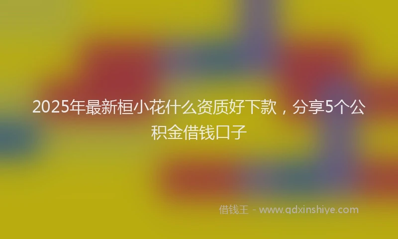 2025年最新桓小花什么资质好下款，分享5个公积金借钱口子