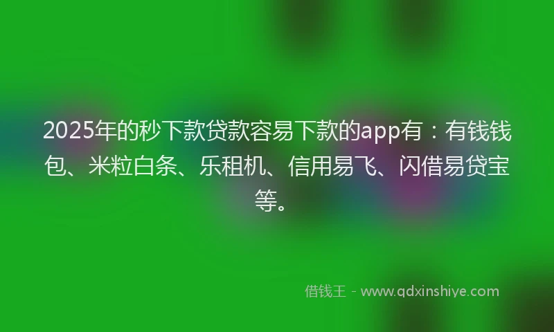 2025年的秒下款贷款容易下款的app有：有钱钱包、米粒白条、乐租机、信用易飞、闪借易贷宝等。