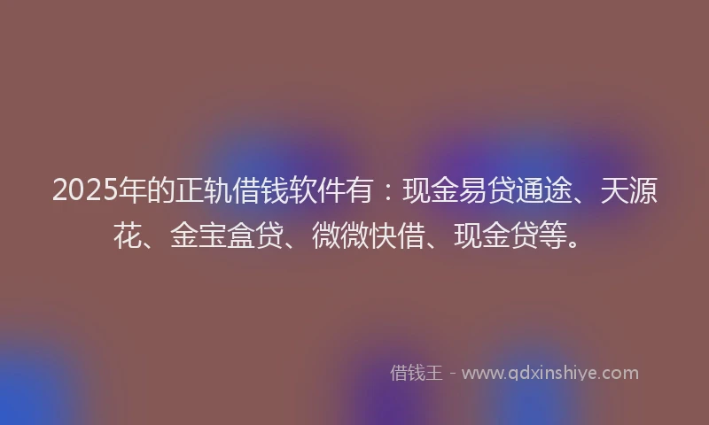 2025年的正轨借钱软件有：现金易贷通途、天源花、金宝盒贷、微微快借、现金贷等。