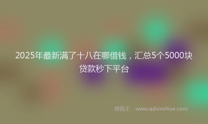 2025年最新满了十八在哪借钱，汇总5个5000块贷款秒下平台