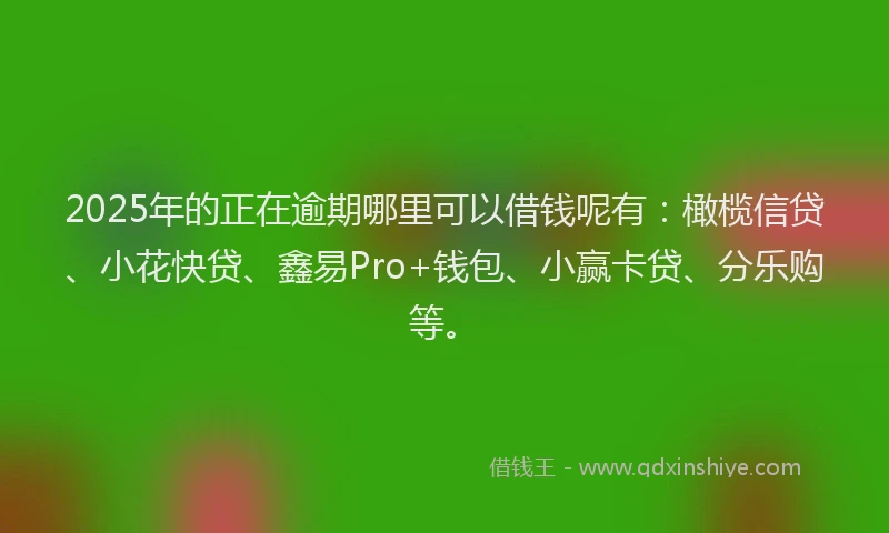 2025年的正在逾期哪里可以借钱呢有：橄榄信贷、小花快贷、鑫易Pro+钱包、小赢卡贷、分乐购等。