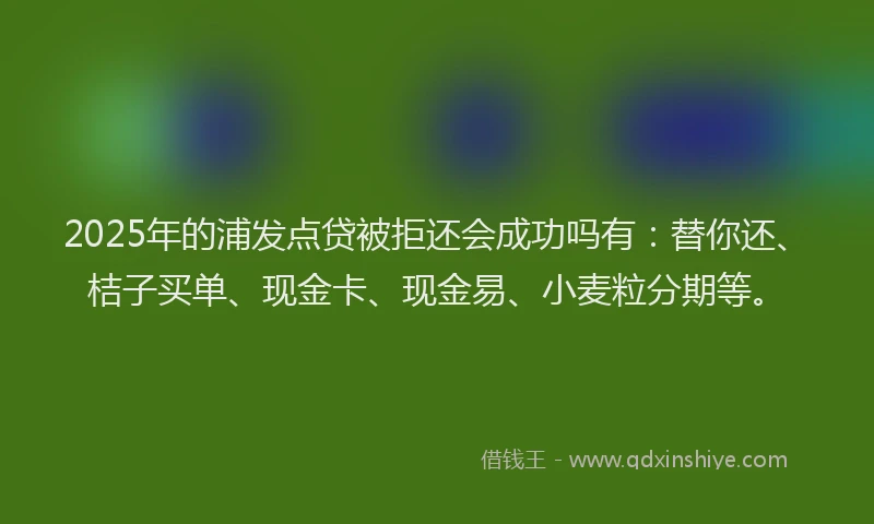 2025年的浦发点贷被拒还会成功吗有：替你还、桔子买单、现金卡、现金易、小麦粒分期等。