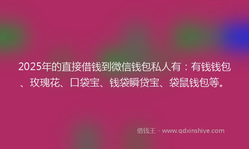 2025年的直接借钱到微信钱包私人有：有钱钱包、玫瑰花、口袋宝、钱袋瞬贷宝、袋鼠钱包等。