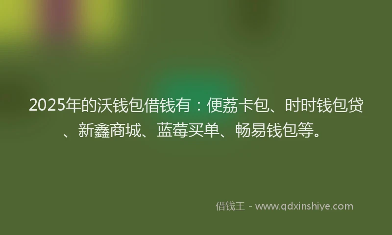2025年的沃钱包借钱有：便荔卡包、时时钱包贷、新鑫商城、蓝莓买单、畅易钱包等。