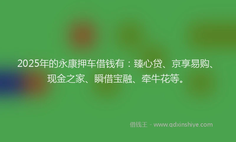 2025年的永康押车借钱有：臻心贷、京享易购、现金之家、瞬借宝融、牵牛花等。