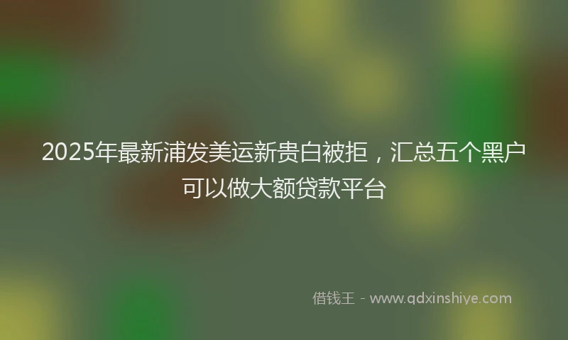 2025年最新浦发美运新贵白被拒，汇总五个黑户可以做大额贷款平台
