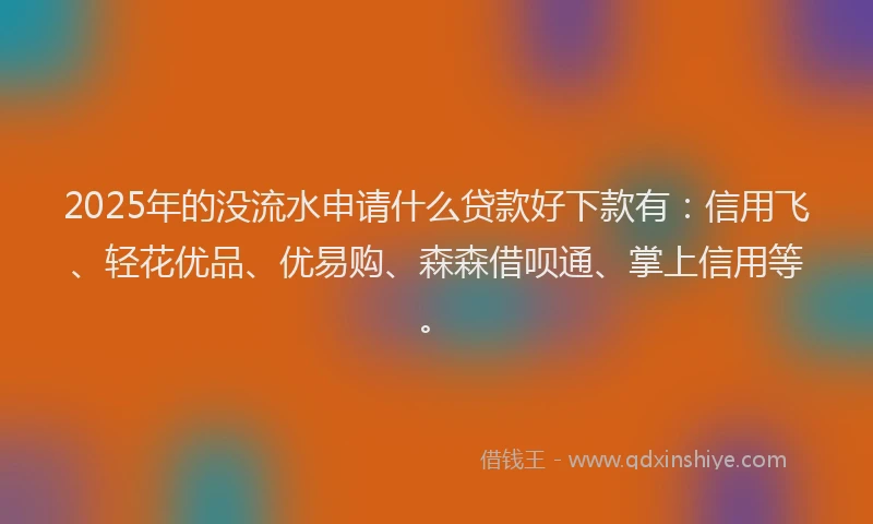 2025年的没流水申请什么贷款好下款有：信用飞、轻花优品、优易购、森森借呗通、掌上信用等。