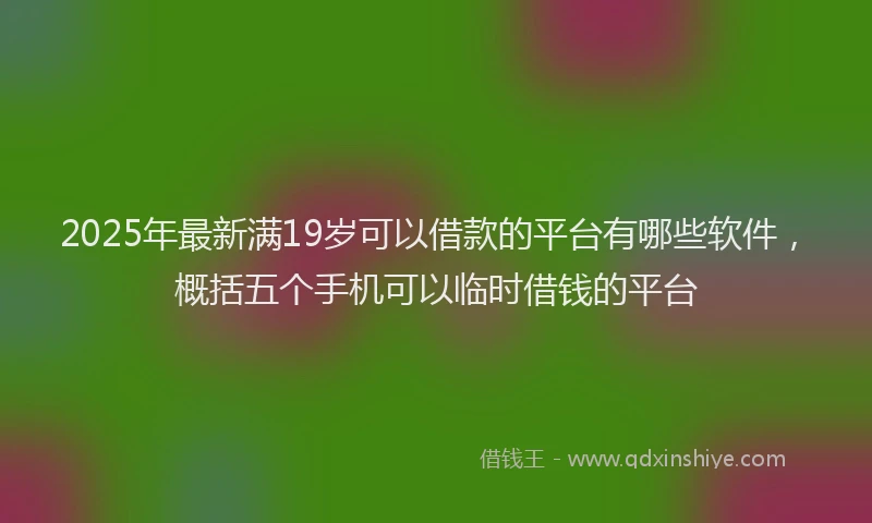 2025年最新满19岁可以借款的平台有哪些软件，概括五个手机可以临时借钱的平台