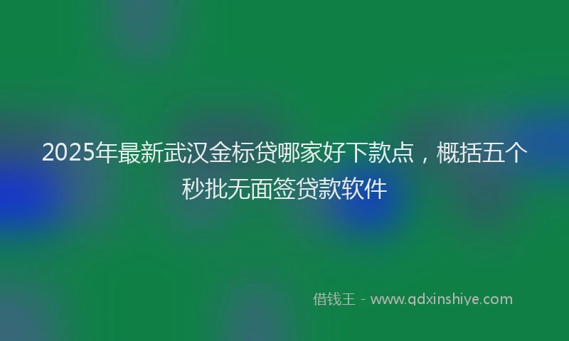 2025年最新武汉金标贷哪家好下款点，概括五个秒批无面签贷款软件