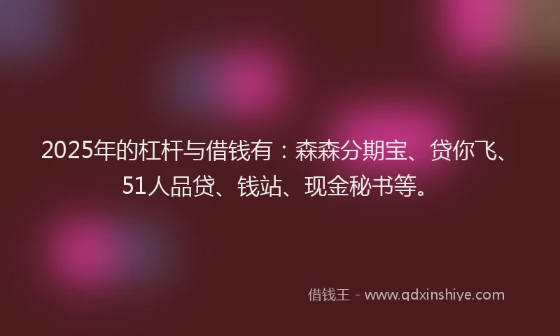 2025年的杠杆与借钱有：森森分期宝、贷你飞、51人品贷、钱站、现金秘书等。